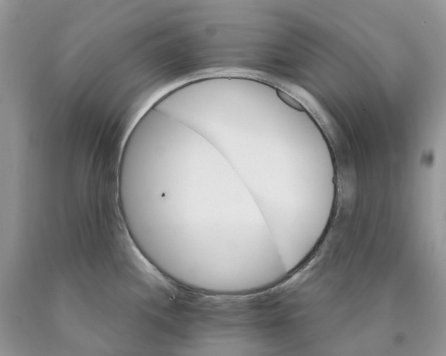 X0000089941244200707271812