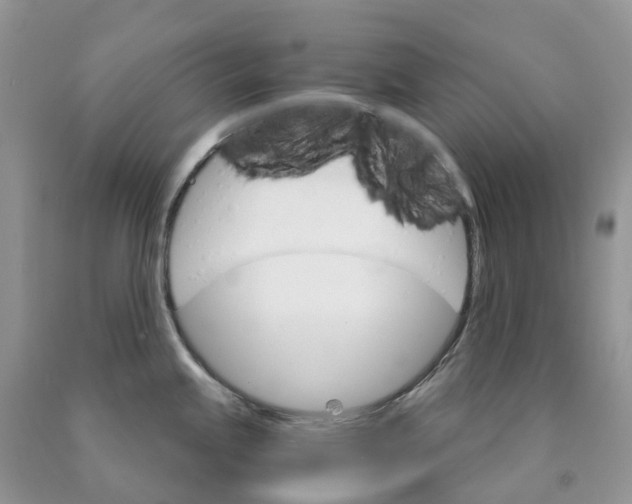 X0000089941245200707271812