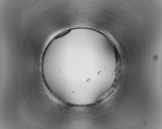 X0000089941246200707271812