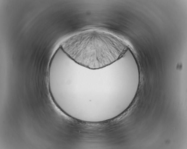 X0000089941247200707271812