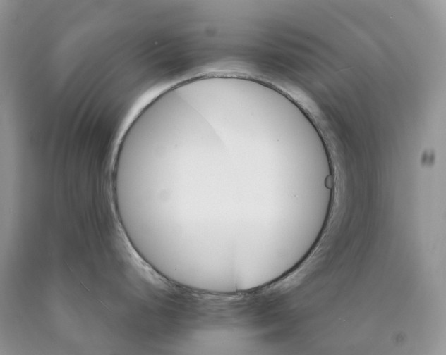 X0000089941248200707271812