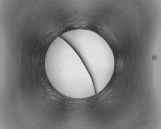 X0000089941250200707271811