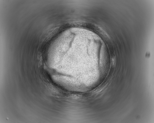 X0000089941251200707271811