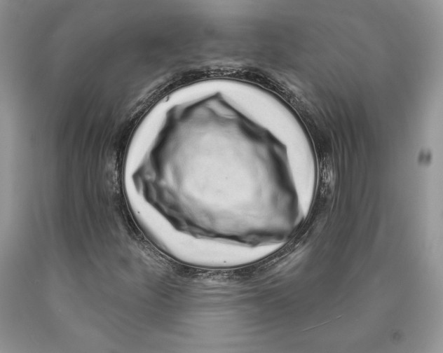 X0000089941252200707271811