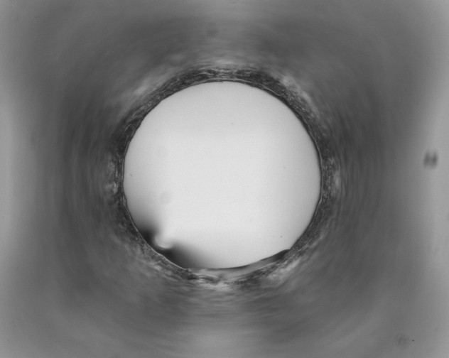 X0000089941253200707271811