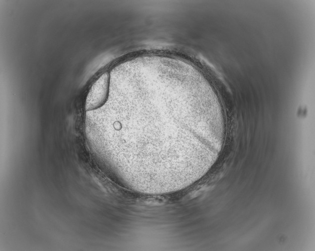 X0000089941255200707271811