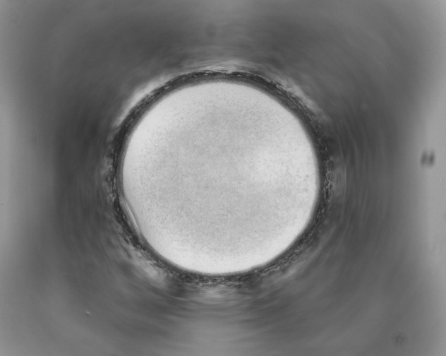X0000089941256200707271811
