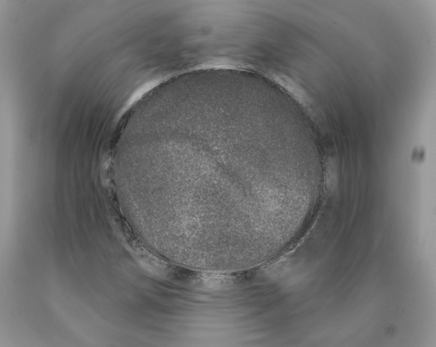 X0000089941258200707271811