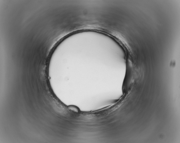 X0000089941260200707271811