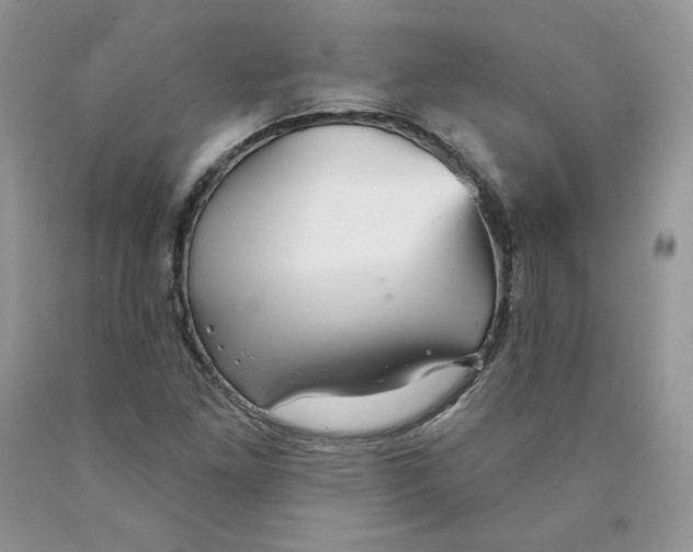 X0000089941261200707271811