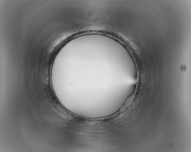 X0000089941262200707271811