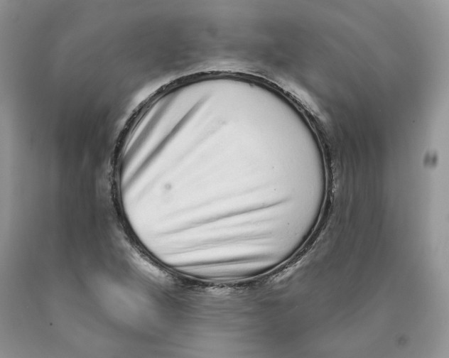 X0000089941264200707271811