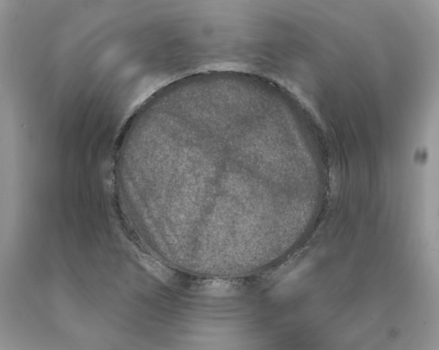 X0000089941266200707271811