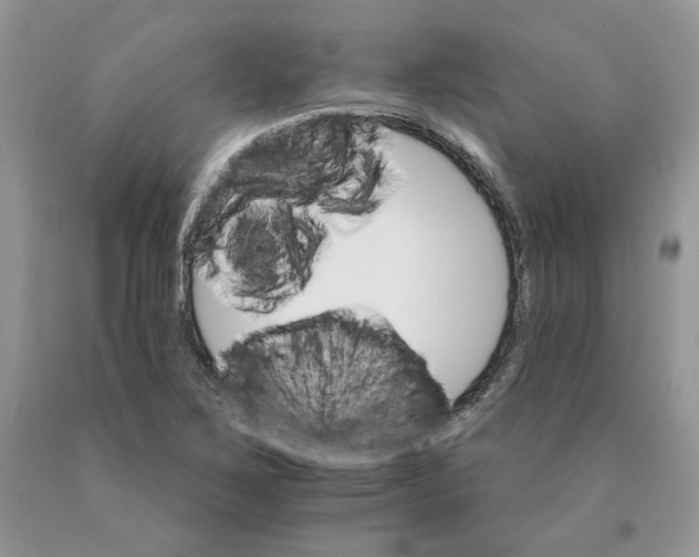 X0000089941267200707271811
