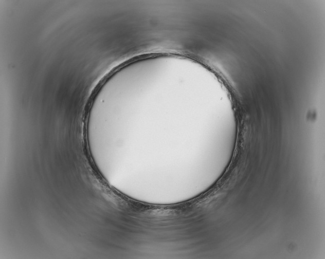 X0000089941268200707271811