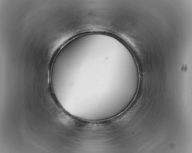 X0000089941269200707271811
