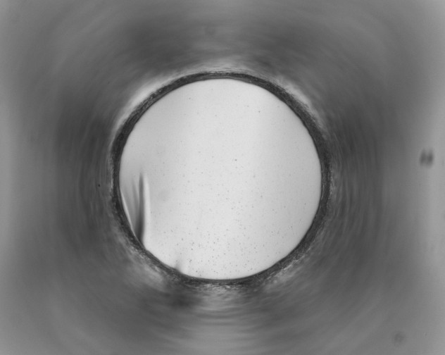 X0000089941270200707271811