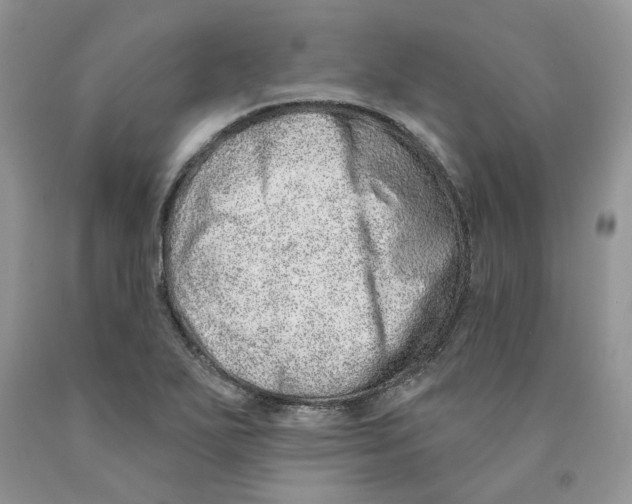 X0000089941271200707271811