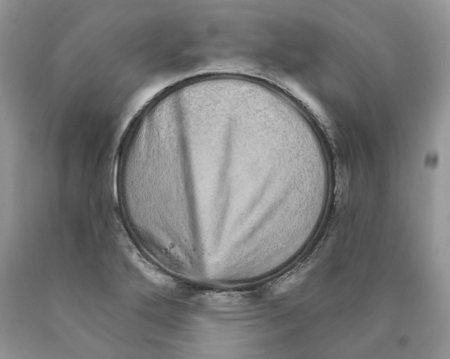 X0000089941272200707271811