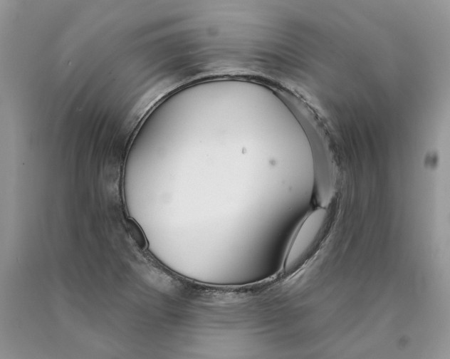 X0000089941273200707271811