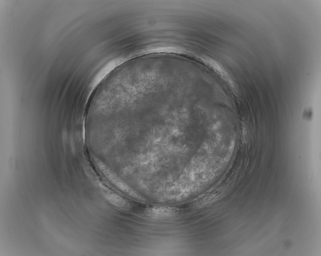X0000089941274200707271811