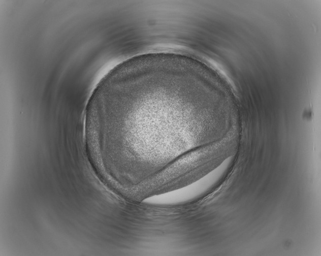 X0000089941275200707271811