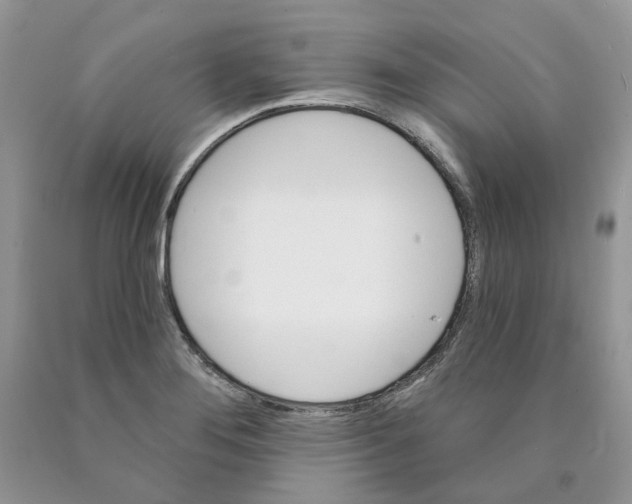 X0000089941276200707271811