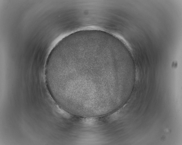 X0000089941278200707271811