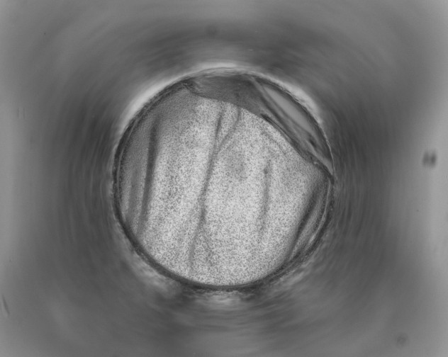 X0000089941279200707271811