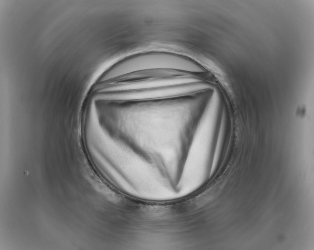 X0000089941280200707271811