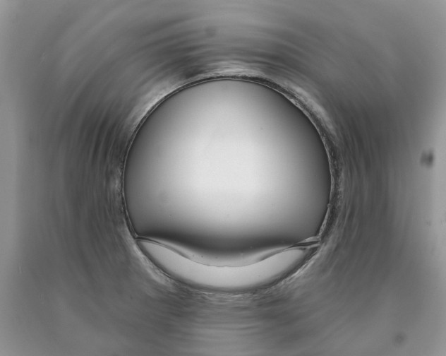 X0000089941281200707271811
