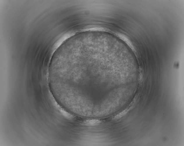 X0000089941282200707271811