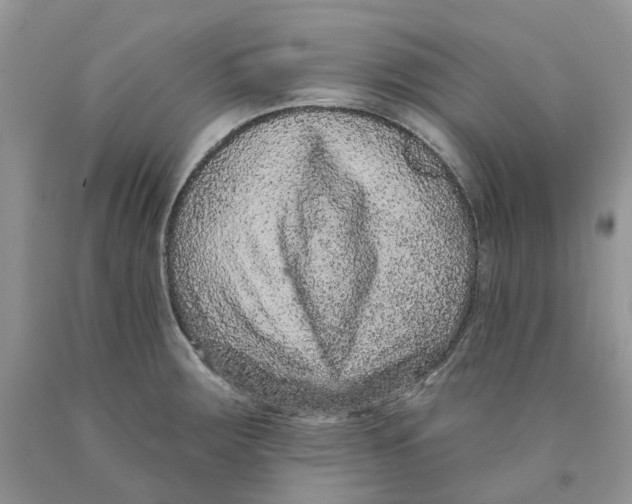 X0000089941283200707271811
