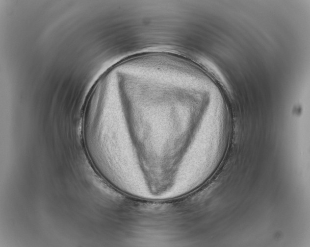 X0000089941284200707271811
