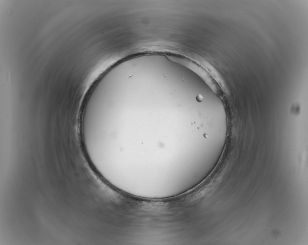 X0000089941285200707271811