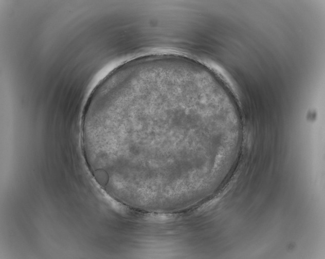 X0000089941286200707271811