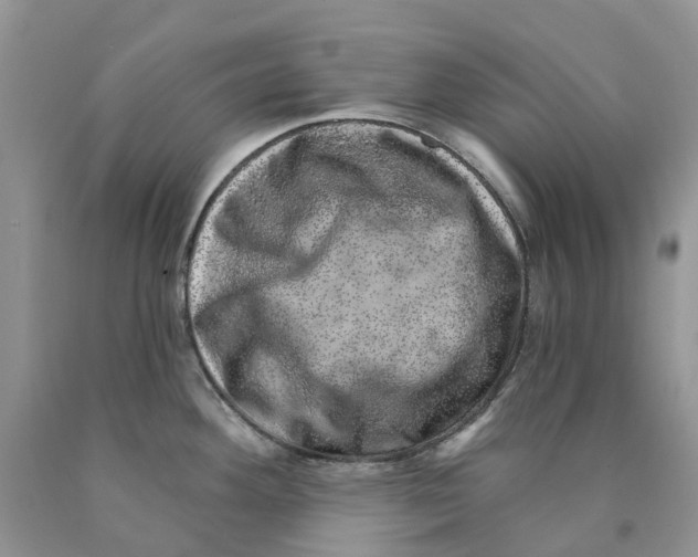 X0000089941292200707271811