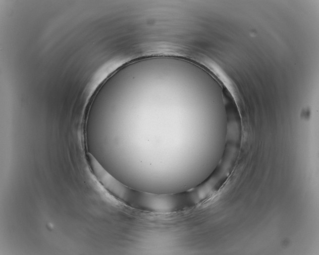 X0000089941293200707271811