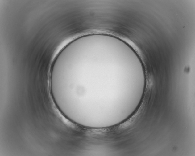 X0000089941294200707271811