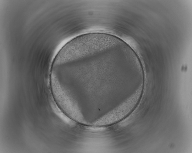 X0000089941296200707271811