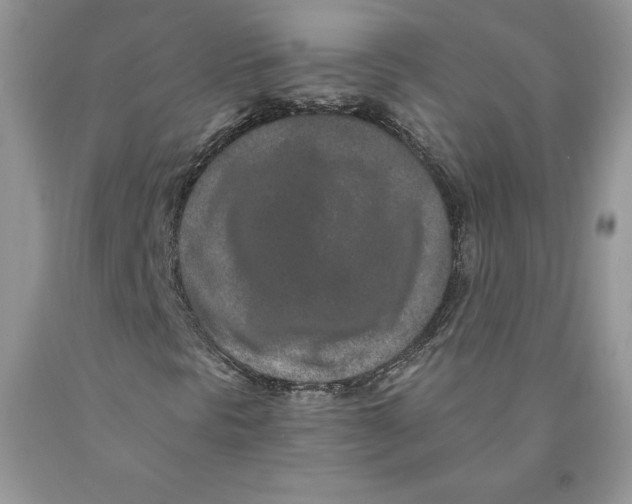 X0000089941297200707271810