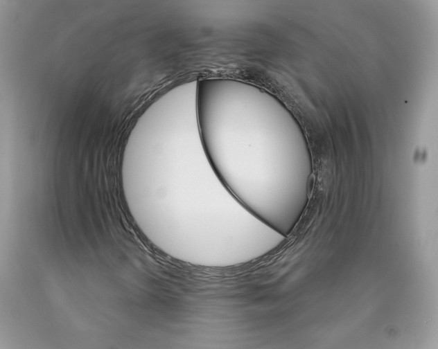 X0000089941298200707271810