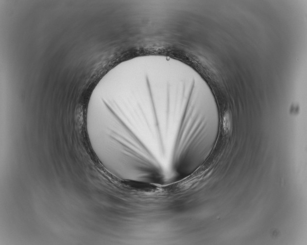 X0000089941299200707271810