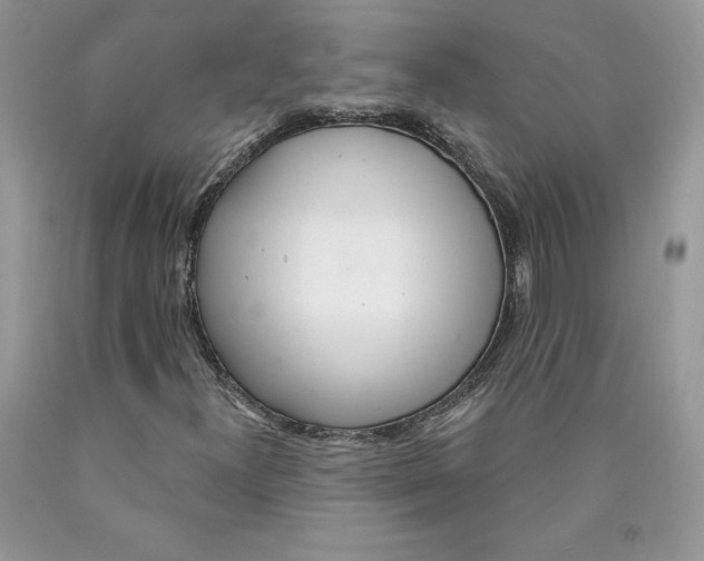 X0000089941300200707271810