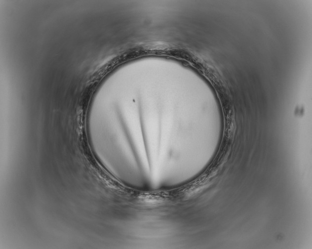 X0000089941301200707271810