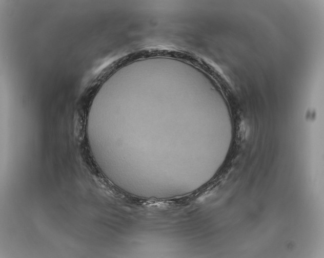 X0000089941303200707271810