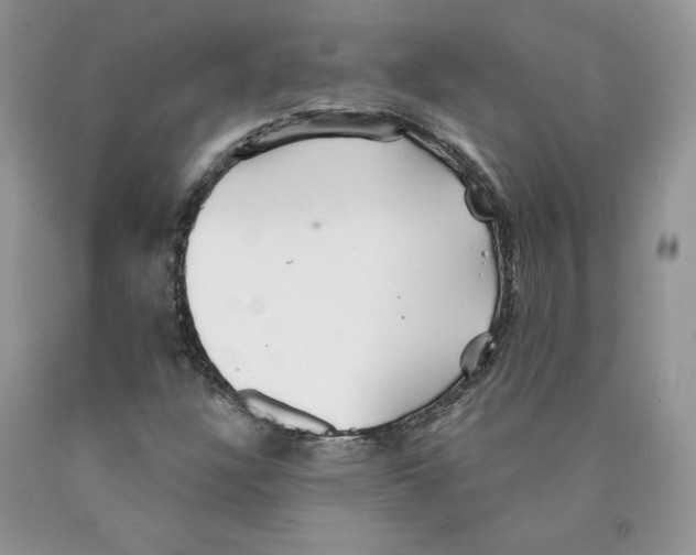 X0000089941304200707271810