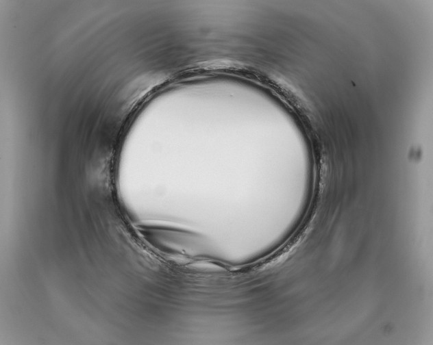 X0000089941305200707271810