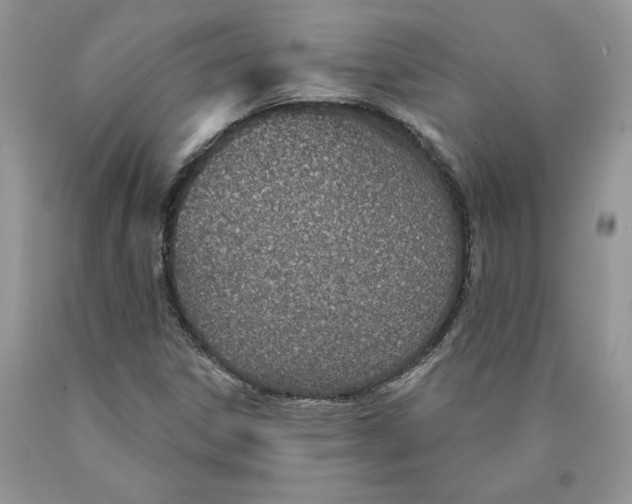 X0000089941306200707271810