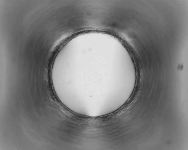 X0000089941307200707271810